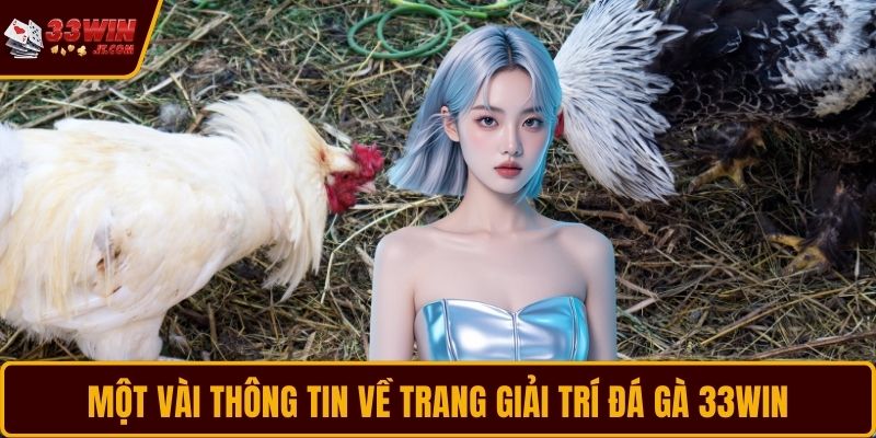 Một vài thông tin về trang giải trí đá gà 33WIN